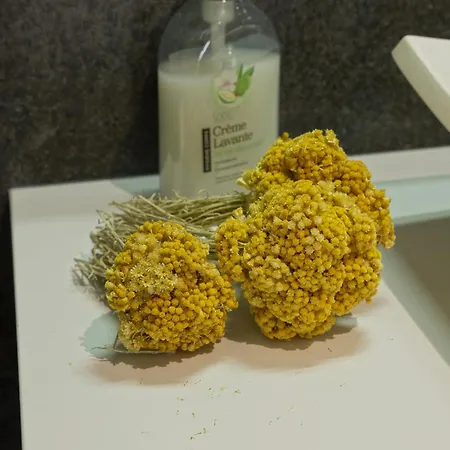 4 Pers Confort Au Coeur Du Village D Parking Gratuit A 100 M *