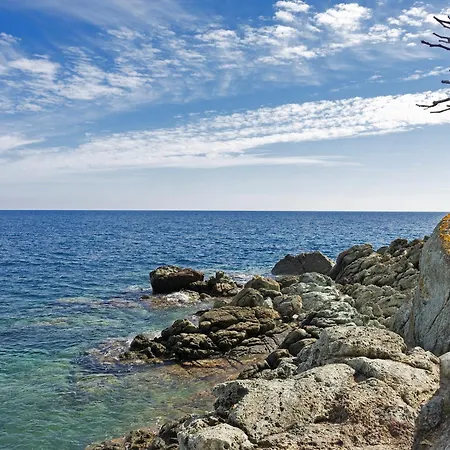 4 Pers Confort Au Coeur Du Village D Parking Gratuit A 100 M Apartamento Erbalunga (Corsica)