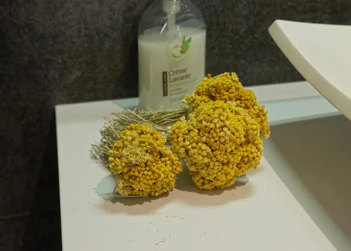 4 Pers Confort Au Coeur Du Village D Parking Gratuit A 100 M *